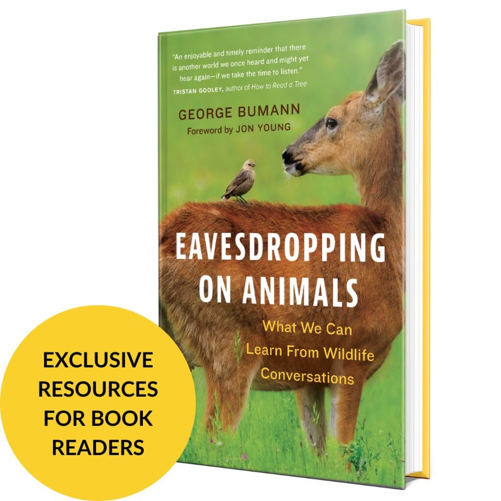 Eavesdropping on Animals George Bumann Resources Page