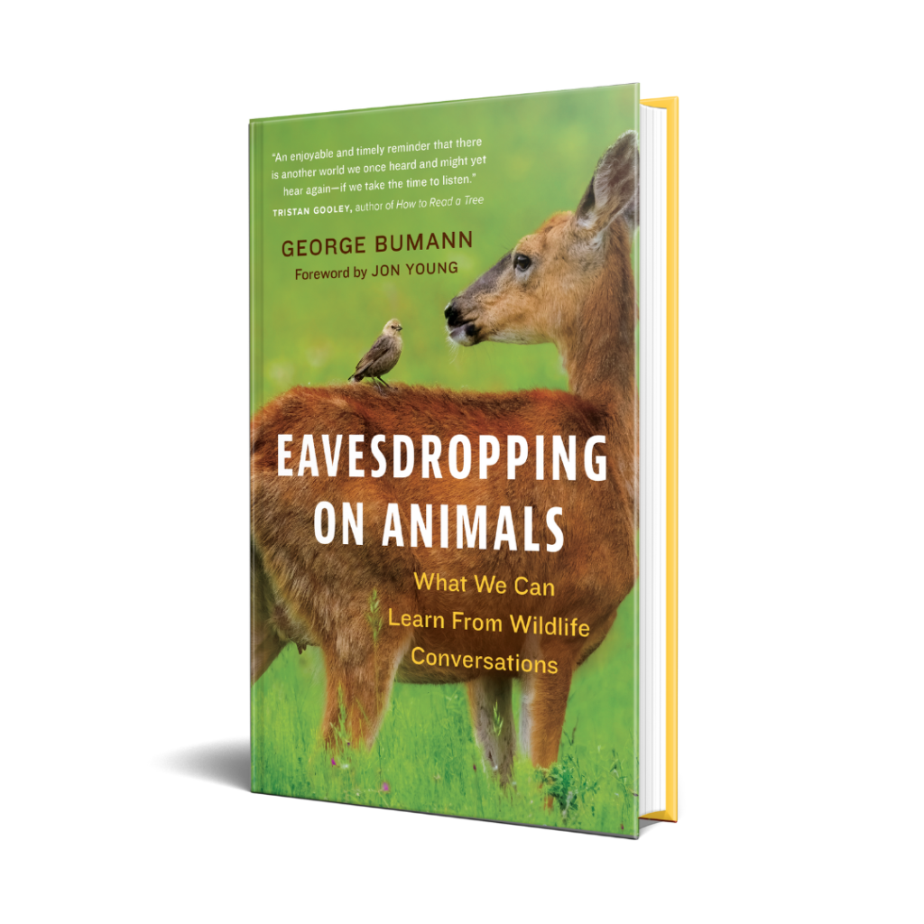 Eavesdropping on Animals George Bumann